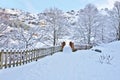 Winter scene of Wooden bridge in Gourette village Royalty Free Stock Photo